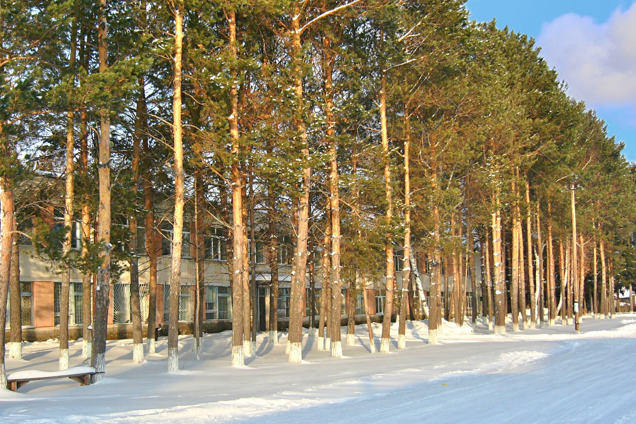 Седельниковская центральная районная больница